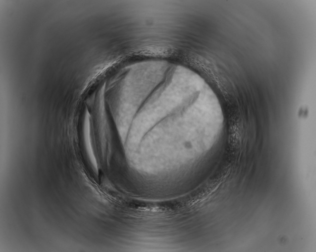 X0000097920688200804041524