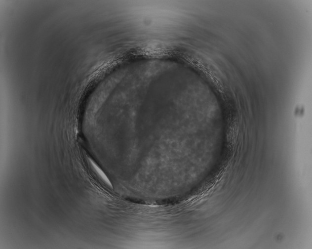 X0000097920689200804041524