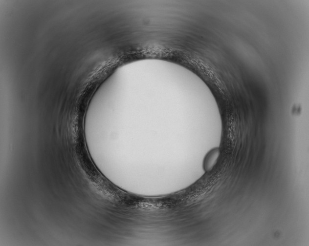 X0000097920690200804041524