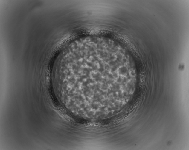 X0000097920691200804041524