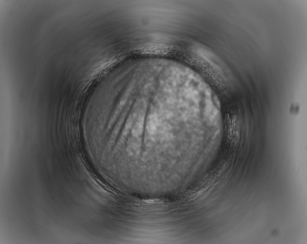 X0000097920692200804041524