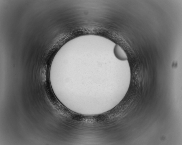 X0000097920694200804041524