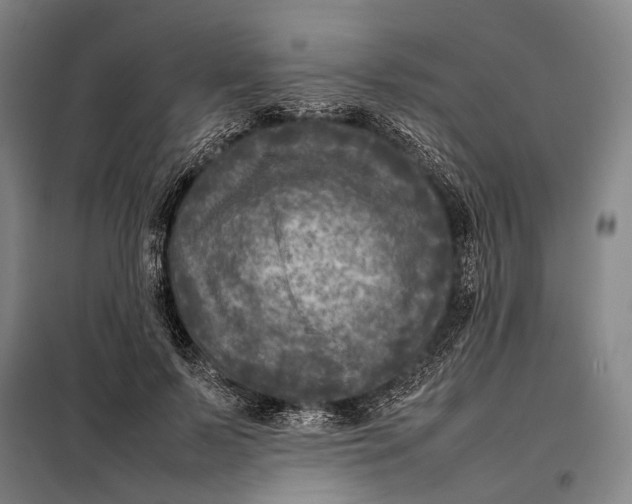 X0000097920695200804041524