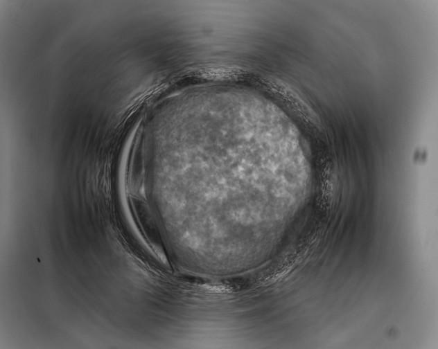 X0000097920696200804041524