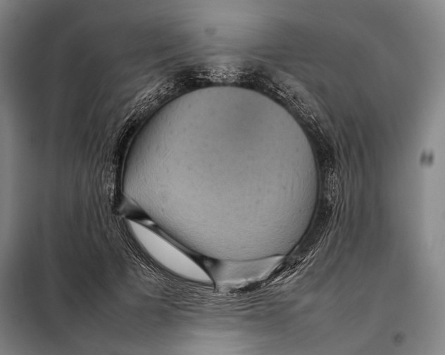 X0000097920697200804041524