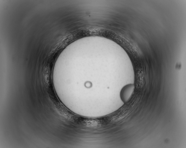 X0000097920698200804041524