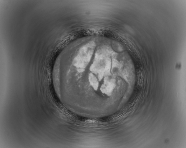 X0000097920699200804041524