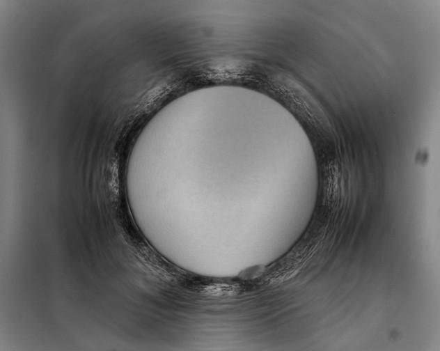 X0000097920700200804041524