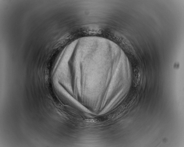 X0000097920704200804041524