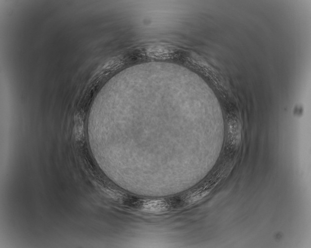 X0000097920705200804041524