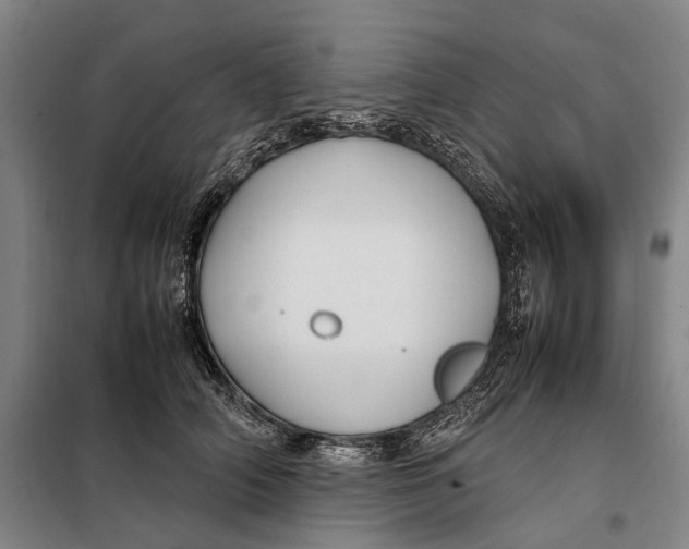 X0000097920706200804041524