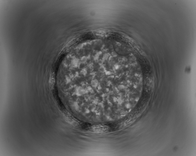 X0000097920707200804041524