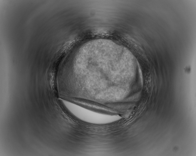 X0000097920708200804041524