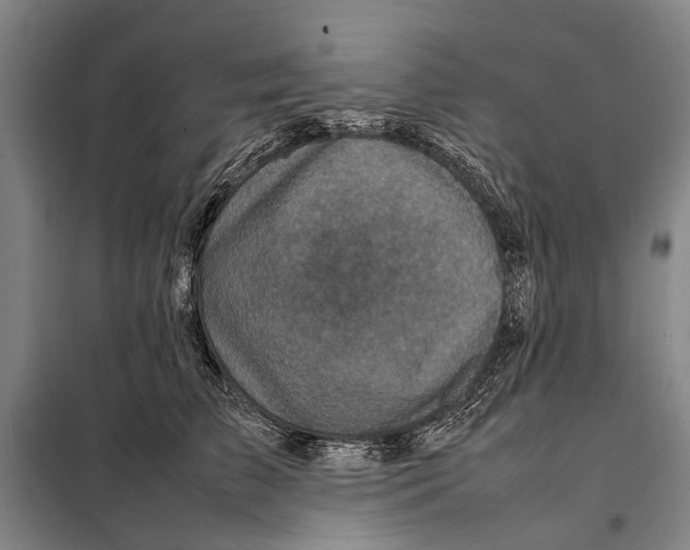 X0000097920709200804041524