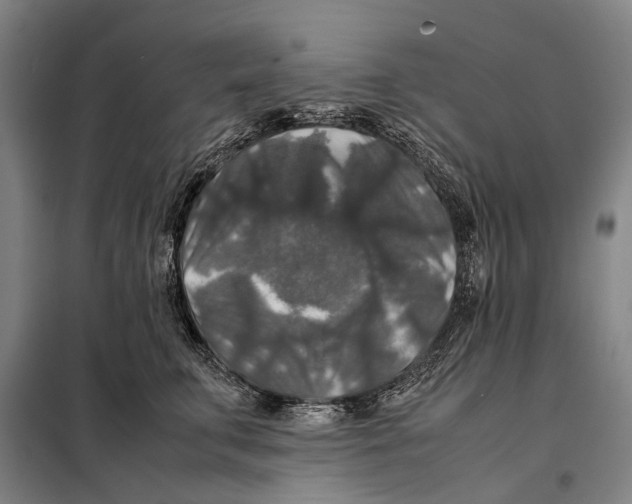 X0000097920711200804041524