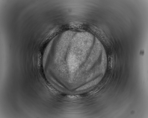 X0000097920712200804041524