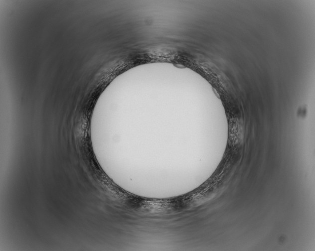 X0000097920713200804041524