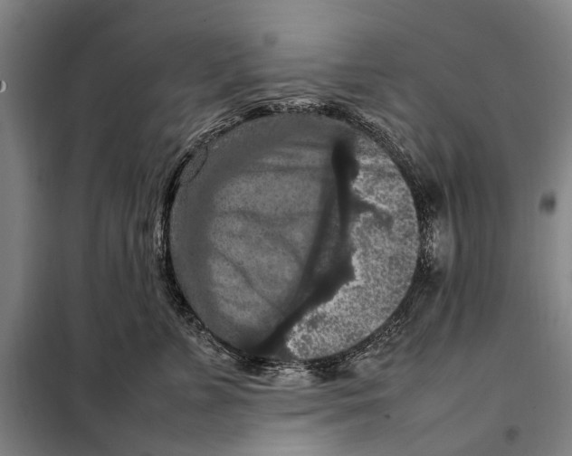 X0000097920715200804041524