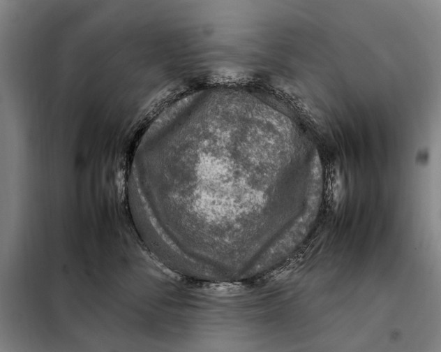 X0000097920716200804041524