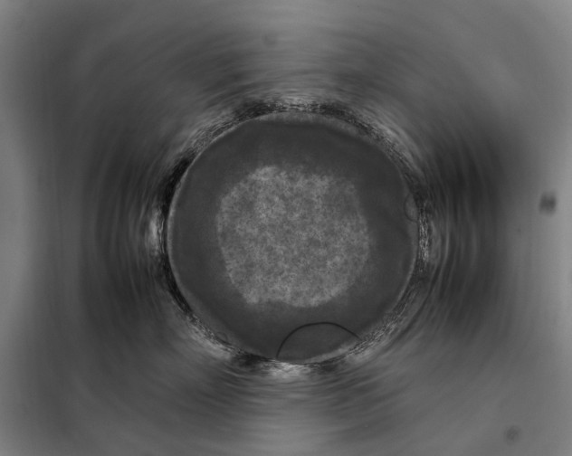 X0000097920718200804041524