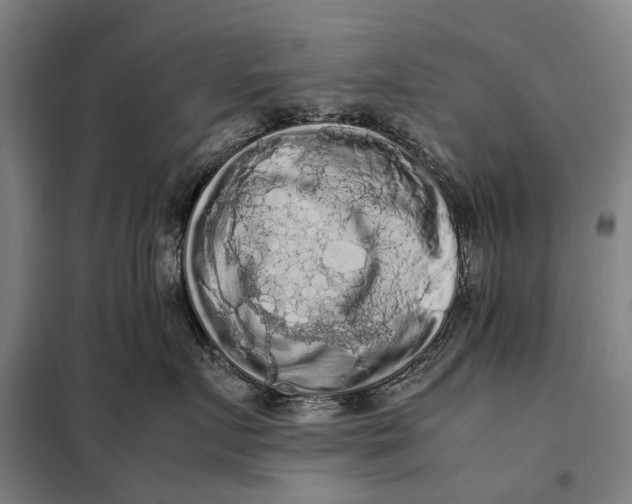 X0000097920719200804041524