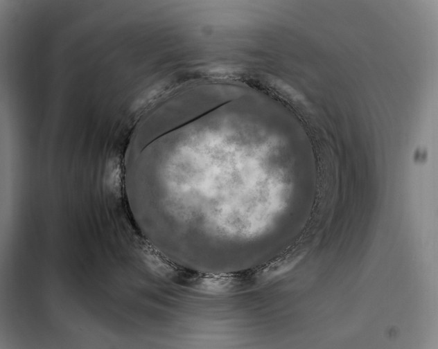 X0000097920720200804041524