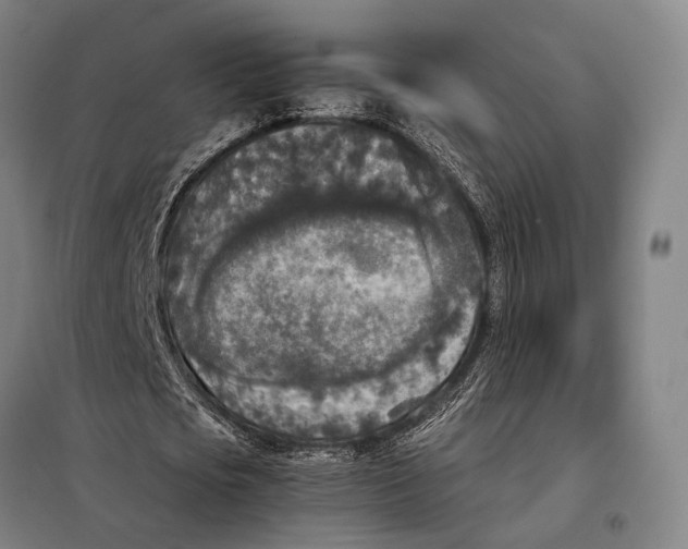 X0000097920721200804041523