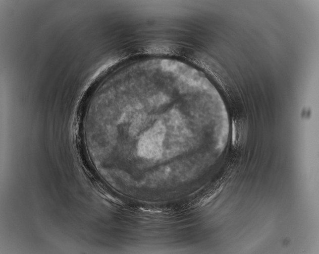 X0000097920723200804041523