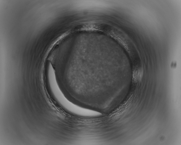 X0000097920724200804041523