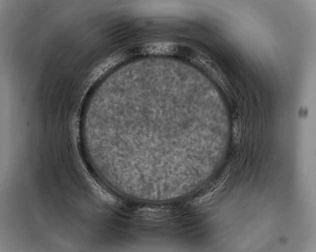 X0000097920725200804041523