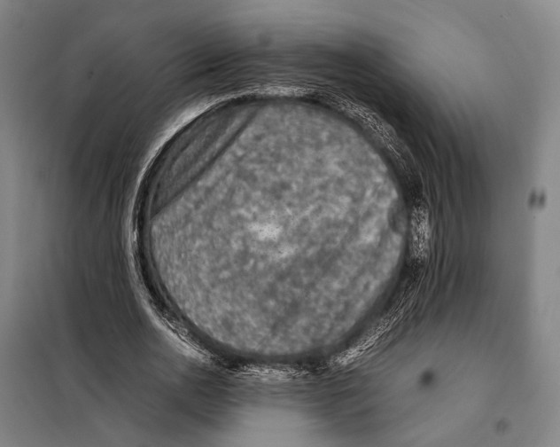 X0000097920726200804041523