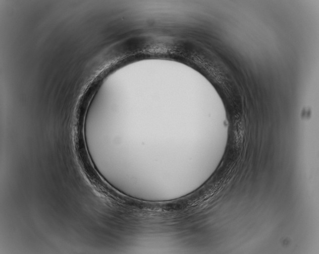 X0000097920728200804041523