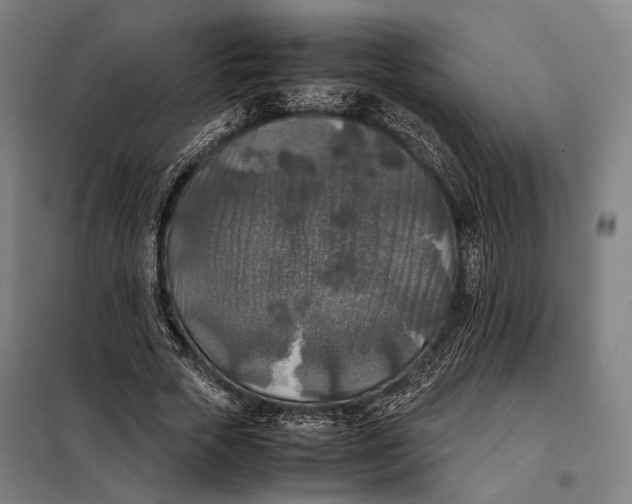 X0000097920729200804041523