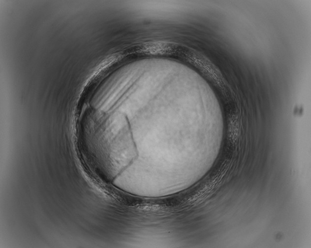 X0000097920730200804041523