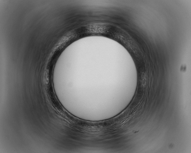 X0000097920731200804041523