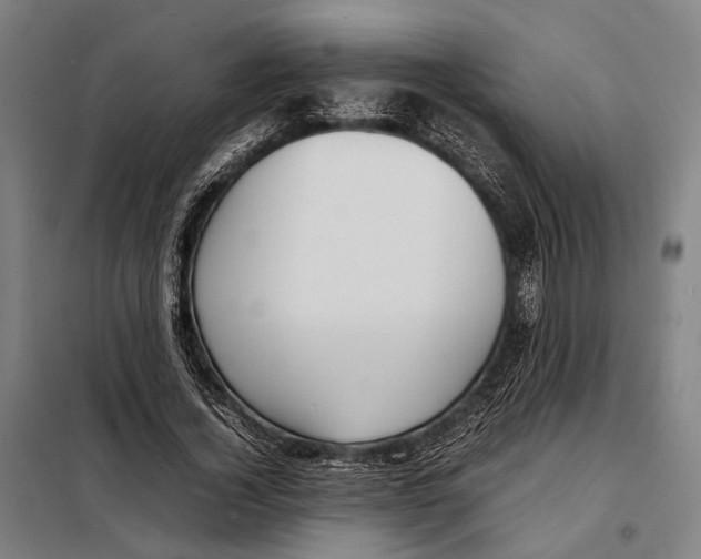 X0000097920732200804041523