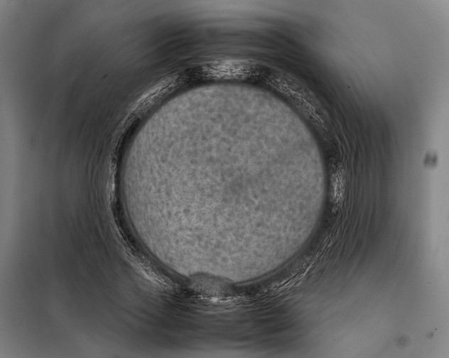 X0000097920733200804041523