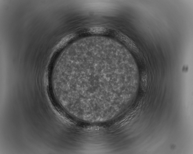 X0000097920734200804041523