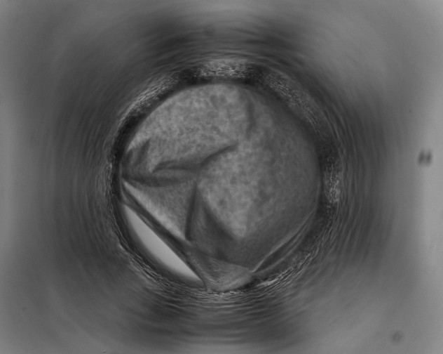 X0000097920735200804041523