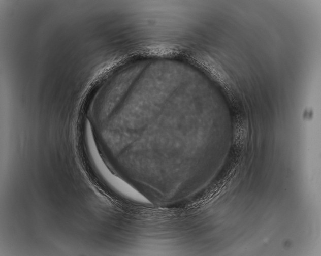 X0000097920736200804041523