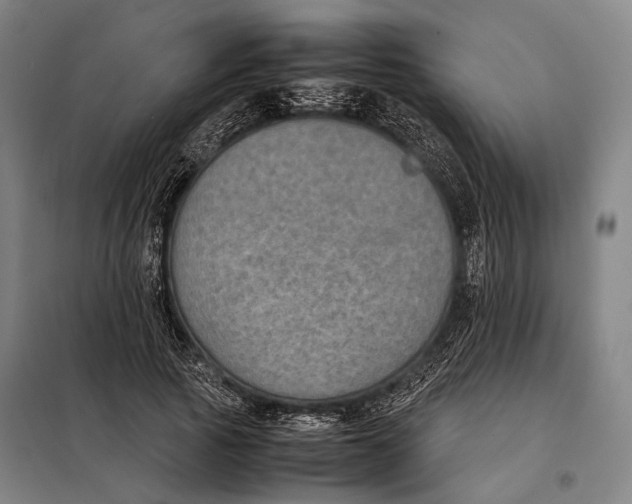 X0000097920737200804041523