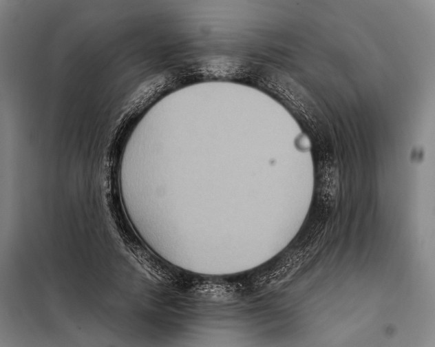 X0000097920738200804041523