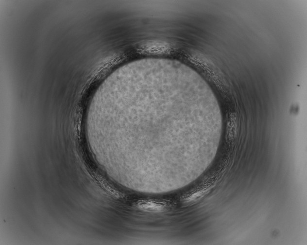 X0000097920739200804041523