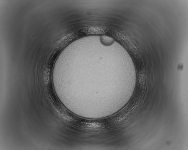 X0000097920741200804041523