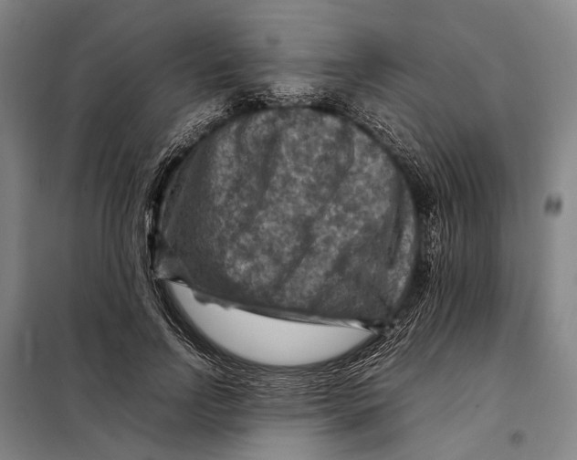 X0000097920742200804041523