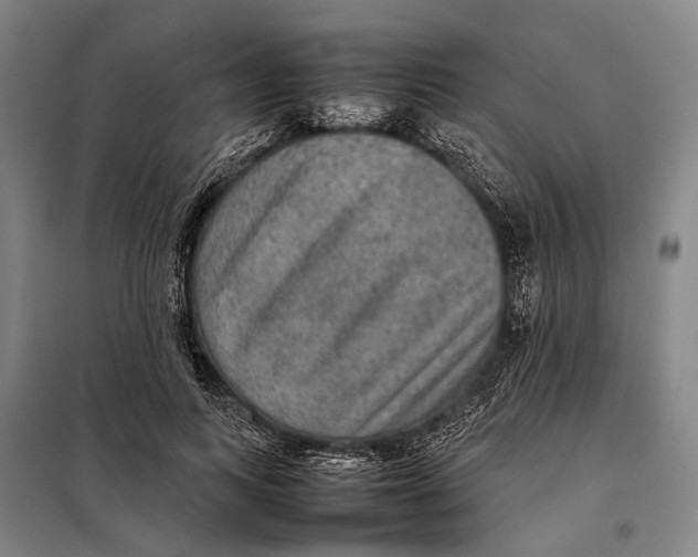 X0000097920743200804041523