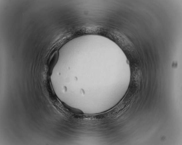 X0000097920744200804041523