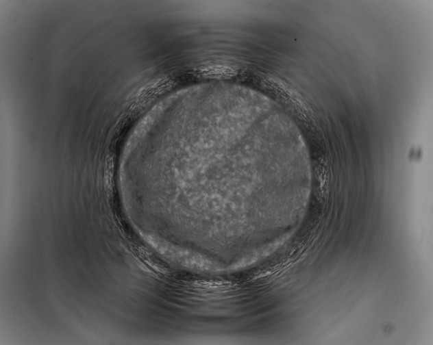 X0000097920745200804041523