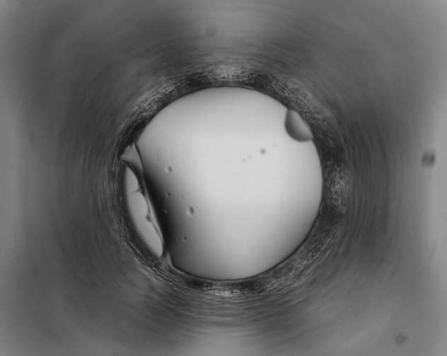 X0000097920746200804041523