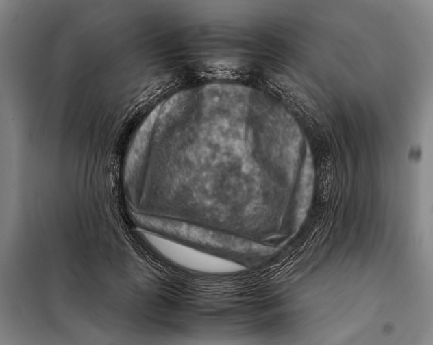 X0000097920747200804041523